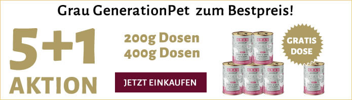 Grau Aktion